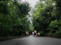 -大蜀山国家森林公园