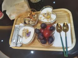 -隐逸SPA