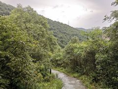 -桃花岭景区