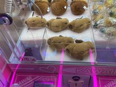 -万达广场(无锡滨湖店)