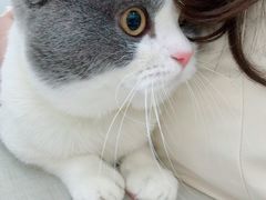 -拜鲁耶动物诊疗中心·宠家动物医院