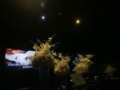 -黑桃K生日订制KTV