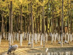 -艾溪湖湿地公园