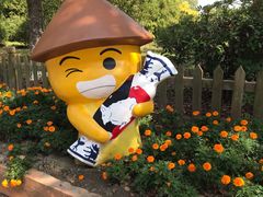 -上海都市菜园