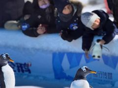 -沈阳奥体冰雪嘉年华