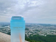 -紫金山山顶公园