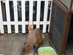 -苏州阳澄半岛英迪格酒店