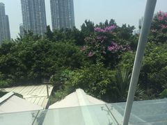 -半岛太子酒家(海港城店)