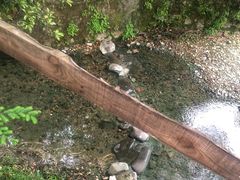 -欣怡茶庄·始于1999(梅家坞店)
