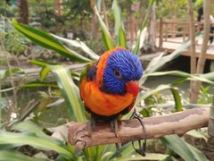 -南宫五洲植物乐园