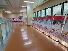 -上海市东方医院(总院)