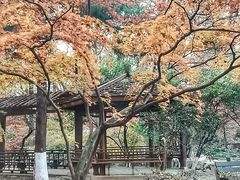 -虞山风景区