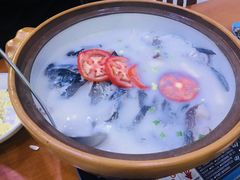 -全乐鱼馆·淳牌有机鱼直营店
