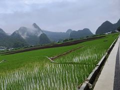 -万峰林风景区