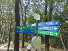 -火炉山森林公园