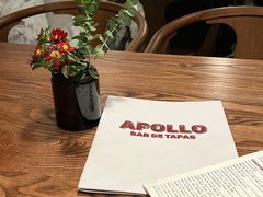 -Apollo·西班牙小酒馆(安福路店)