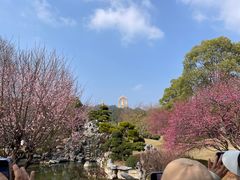 -庐山风景名胜区-东林大佛