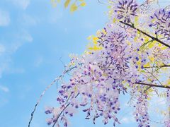 -鸣鹤古镇