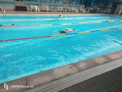 -奇缘游泳培训基地(辰茂店)