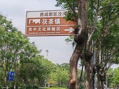 -茯茶镇