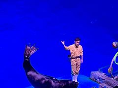 -芜湖新华联大白鲸海洋公园