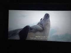 -博纳国际影城(合肥银泰中心店)