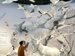 -中国湿地博物馆