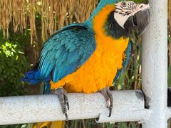 -西霞口神雕山野生动物世界