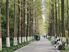 -昆山城市生态森林公园