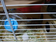 -龙猫仔乐园(惠福东路店)