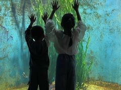 -江和美海洋公园