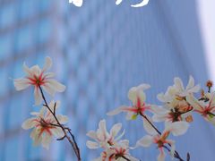 -静安雕塑公园