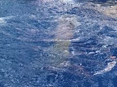 -梧桐阳光国际游泳健身会所(亚运村店)