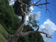 -美国纪念公园