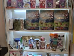 -猫十亿·布偶金渐层·曼基康矮脚猫舍(青年路店)