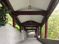 -龙山酒店温泉