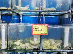 水产区-蚝专家(北滘店)