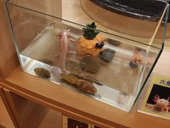 -御海8号温泉酒店