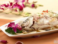 -老洋房花园饭店(绍兴路店)