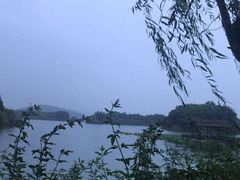 -上海市保健医疗中心