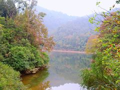 -广州市石门国家森林公园