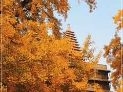 -北京石刻艺术博物馆(五塔寺)