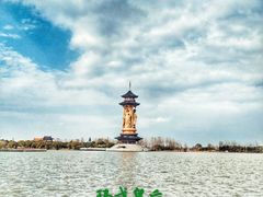 -溱湖国家湿地公园