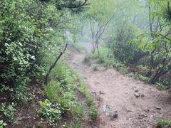 -北京鹫峰国家森林公园