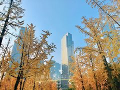 -重庆市江北嘴中央商务区中央公园