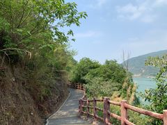 -羚羊峡古栈道森林公园