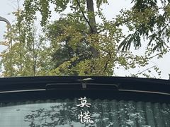 -攀枝花·任德琼·盐边羊肉米线