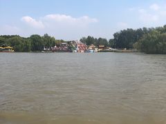 -溱湖国家湿地公园