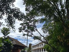 -西双版纳基诺山寨