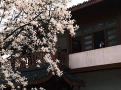 -堤角公园